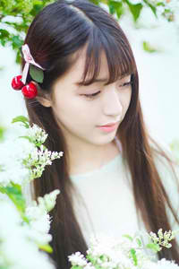 《金银胆神》金胆银胆就是准