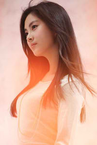 陈情令电视剧免费观看完整版高清